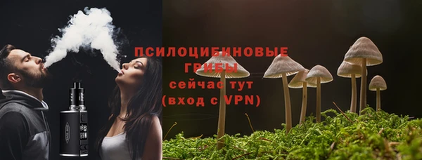 прущие грибы Верхнеуральск