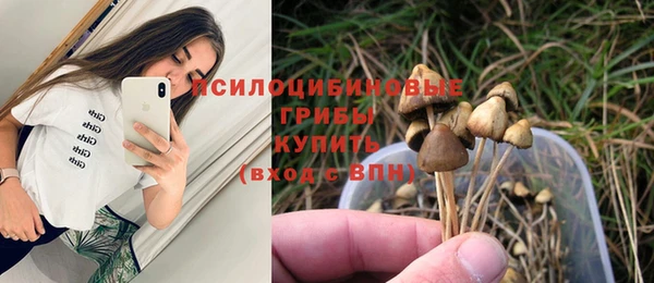 MDMA Premium VHQ Ачинск