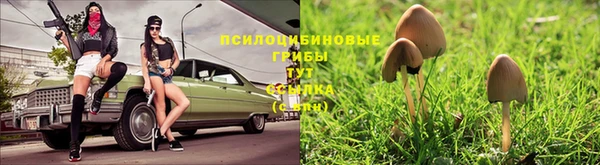 метадон Верея