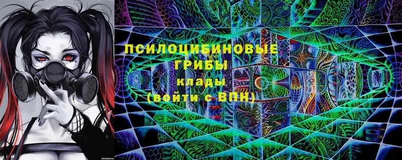 Галлюциногенные грибы Magic Shrooms  Гвардейск 